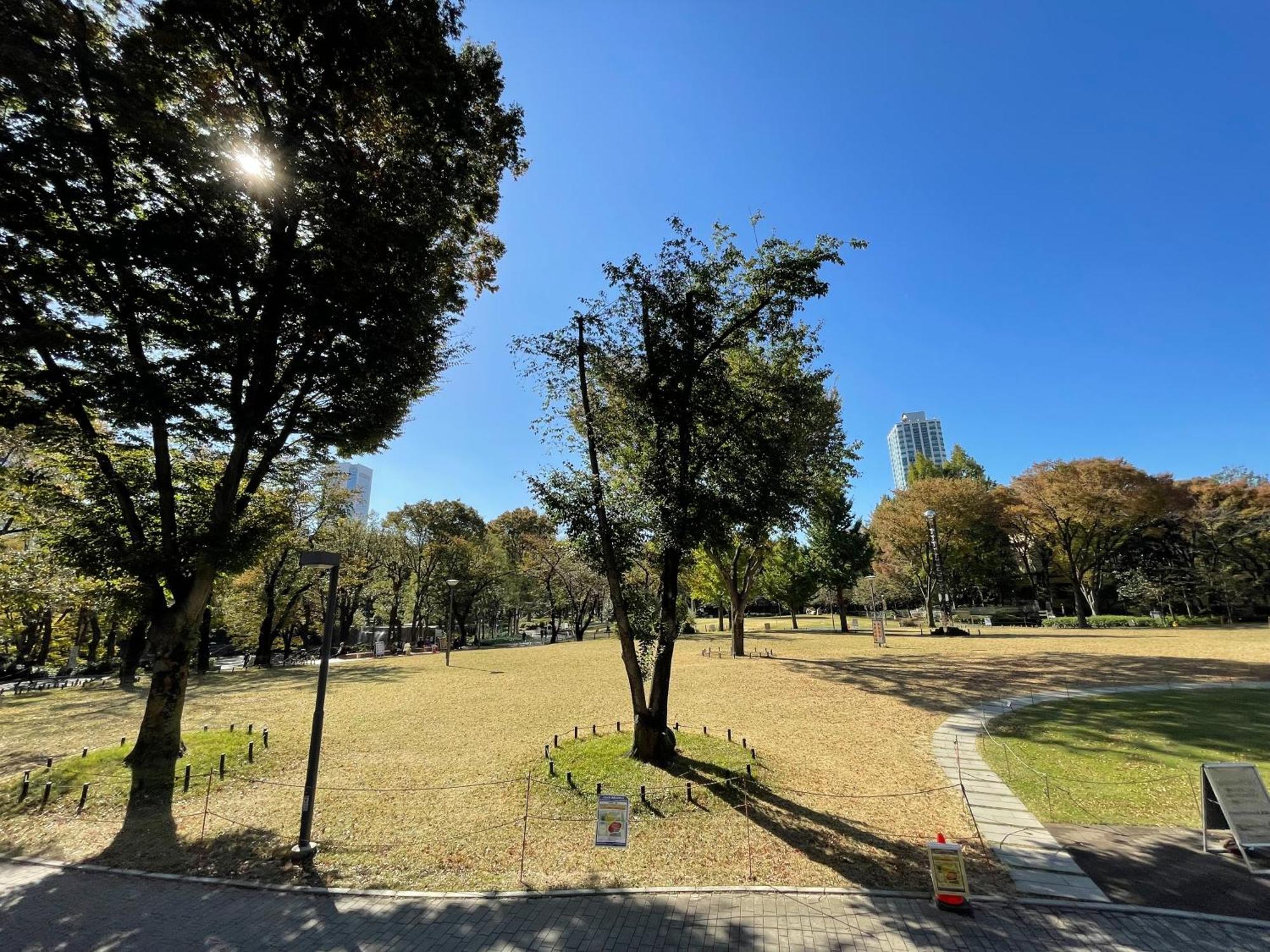 Max4People Shinjuku 7Minutes Shibuya12 Minutes 5Minutes Walk From Hatsudai Station Leon Resort Shibuya Tokio Zewnętrze zdjęcie